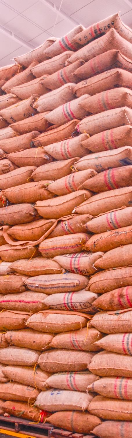 Oferta y demanda en Colombia Hay suficiente oferta para cubrir la demanda interna Mercados globales tienen interés en cacao de Colombia Las exportaciones netas