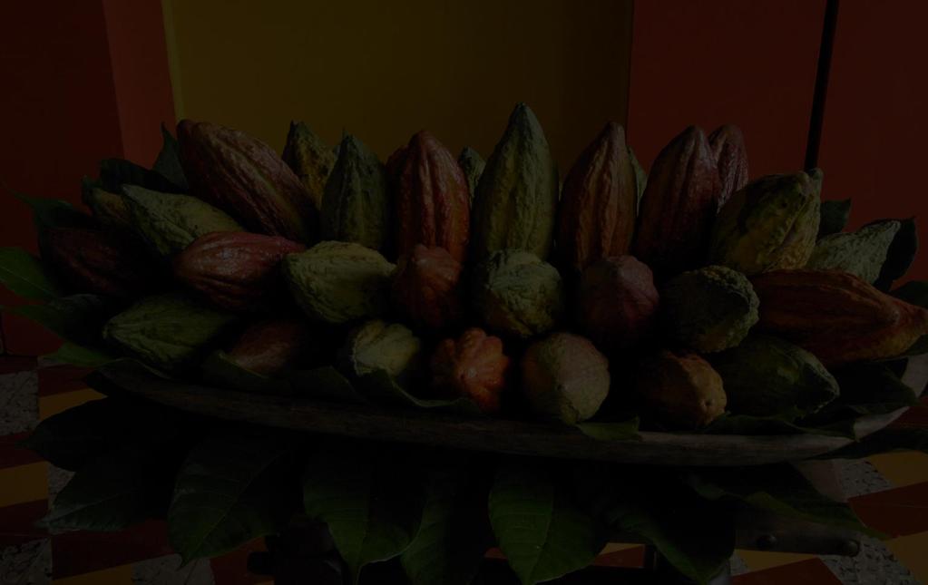 Precios y Costos de Producción de Cacao Costos fijos Establecimiento Manejo