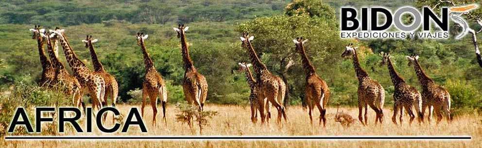 KENIA & TANZANIA 12 Días Tierras Salvajes Dos de los países más interesantes para realizar safaris y descubrir la fauna que habita en sus parques.