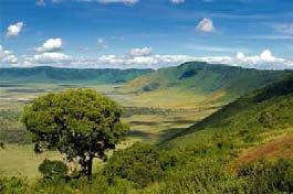 05- LAGO NAIVASHA / MAASAI MARA Desayuno. Salida a la Reserva Nacional de Maasai Mara, vía Narok, para llegar a almorzar.