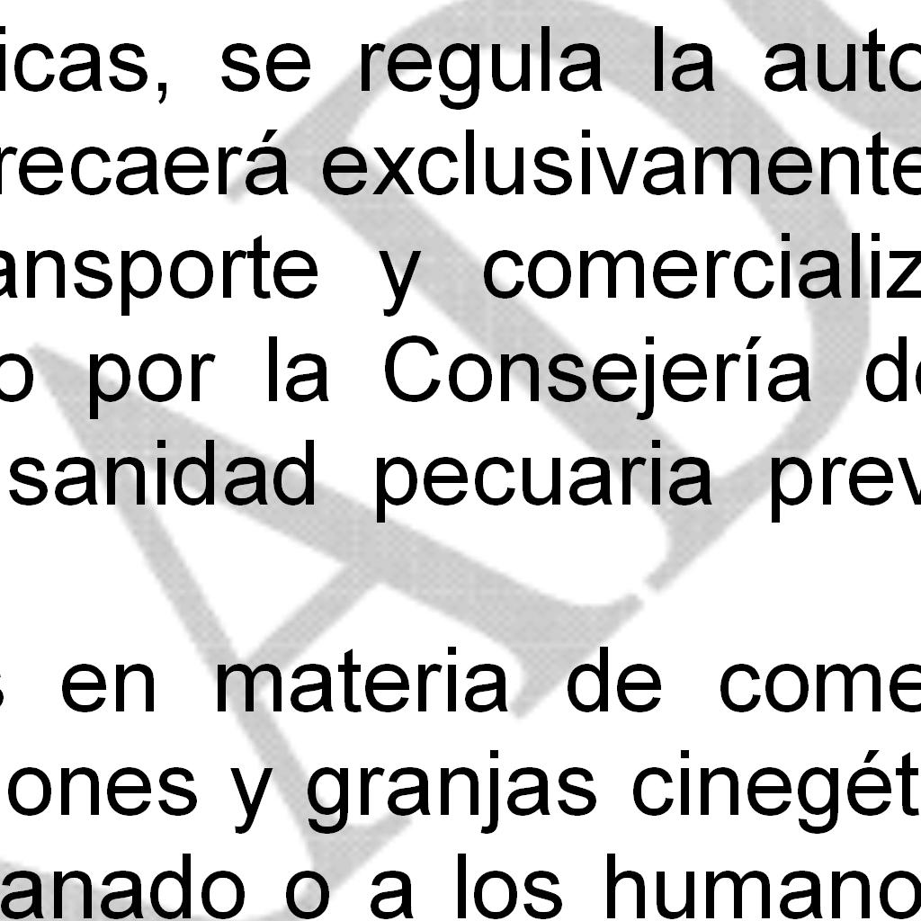la licencia para el ejercicio de la actividad, así como la autorización temporal para cazar en Andalucía.