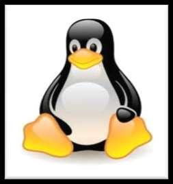 Linux Linux Básico+Avanzado Linux OpenSuse 10.2 (Básico+Avanzado) Linux Ubuntu 6.
