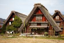 Aquí conoceremos las famosas casas "Gassho-zukuri". Almuerzo en un restaurante local. Después nos dirigiremos a Nagoya para coger el tren bala con destino Odawara.