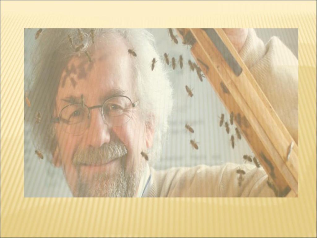Las abejas melíferas sirven al hombre moderno no solo como diligentes colaboradoras en agricultura, sino también como indicadoras del estado en que se encuentra