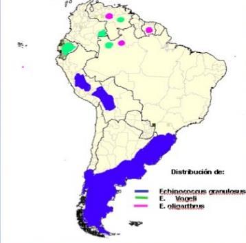 Figura 10. Distribución de la hidatidosis a nivel de América latina.