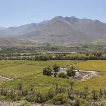 HUASCO COPIAPÓ Con el tiempo se expande a los valles de Copiapó, Huasco,