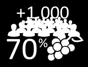 Con gran diversidad social y productiva, superficie promedio de viñedos