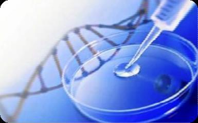 Productos Biotecnológicos Productos Biológicos que son obtenidos por procedimientos biotecnológicos Técnica del ADN