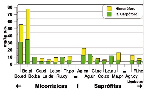 ALONSO, J., GARCÍA, M.A., MELGAR M.J., ABUÍN, M.C. & CORRAL, M. captadora es Agaricus urinascens (Fig.