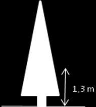 (3) (4) Diámetro de copa. Se anota el diámetro medio de la copa de los árboles expresado en metros con intervalos de 0,5 m.