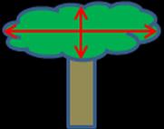 Se anota la altura total del árbol expresada en metros con intervalos de 0,5 m.