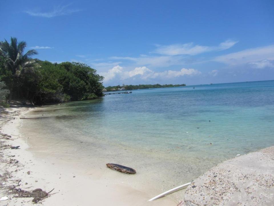 Vulnerabilidad de las zonas costeras ante cambio climático: Área insular de Cartagena de Indias Anny Paola