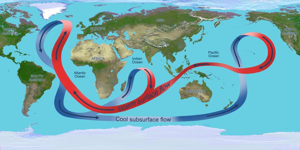 Ciencias de la Tierra y del Medio Ambiente TEMA 5 HIDROSFERA 4 La presencia de la termoclina hace que las aguas de los océanos estén estratificadas, es decir, las aguas del fondo (más frías) no se