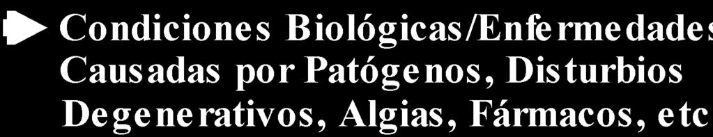 ESTRÉS - CAUSAS: Bioecológicas Tipos/Ejemplos Funciones Orgánicas Ejemplos: Bacterias Viruses