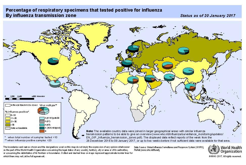 Global Level / Nivel Global Influenza Global Update 281 / Actualización de influenza nivel global 281 Influenza activity in the temperate zone of the northern hemisphere continued to increase, with