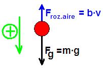 CONCLUSIÓN La ecuación de caída libre en un fluido con rozamiento es: : m g b v = m a Cuando m g = b v, entonces a=0, y continuará con v=constante. Se le llama velocidad terminal.