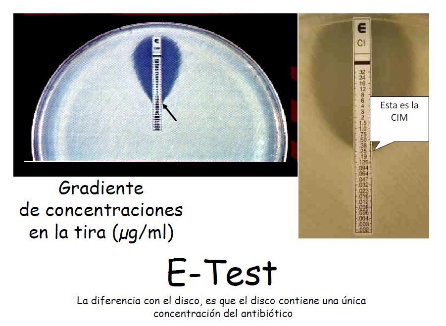 E-Test Gradiente de concentraciones en la tira (µg/ml) La diferencia con