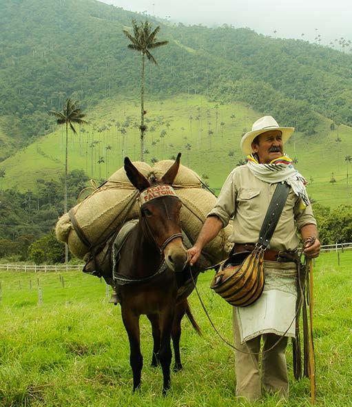 Salento, Quindío COLOMBIA TURISMO, PAZ Y CONVIVENCIA El turismo es el instrumento que ha permitido recuperar antiguos escenarios del conflicto para convertirlos en territorios de PAZ y Convivencia.