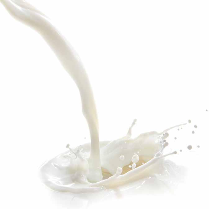 Panorama de la leche en