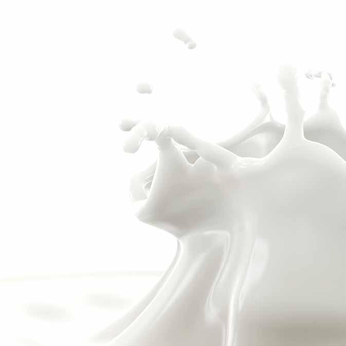 Comercio exterior Importaciones de leche en polvo En el año 2006, se importaron 143 mil