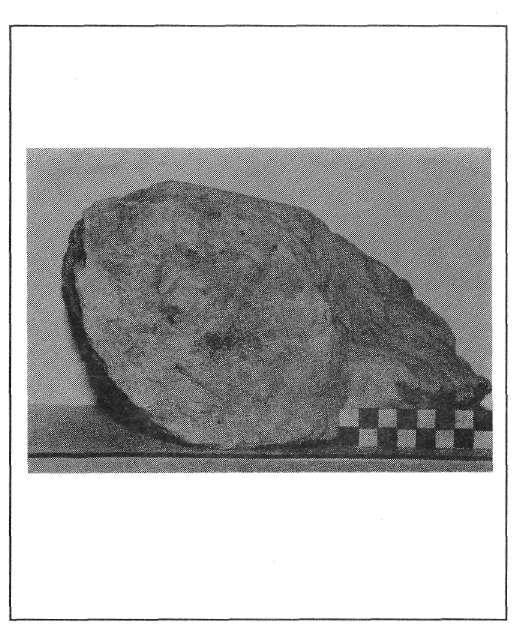 Figura 4: Fragmento de voluta muy erosionada procedente de la 3- campaña de excavaciones (1985) en la villa de los Torrejones (Yecla). tosco y la cita del canónigo Lozano (1800, p.