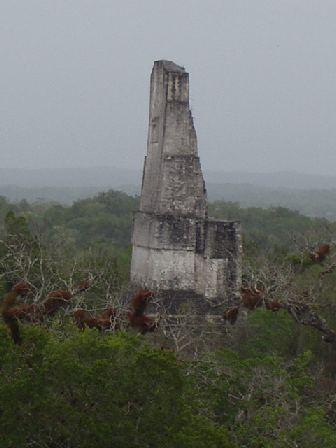 Las contribuciones más importantes de Yax Nuun Ayiin II a la ciudad de Tikal fueron sus complejos de pirámides gemelas, hoy llamados Q y R.