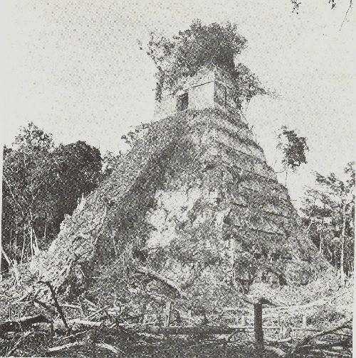100 años debieron pasar para que este colapso llegara a las áreas del Petén central, en tanto Uaxactún como Tikal continuaron ocupadas.