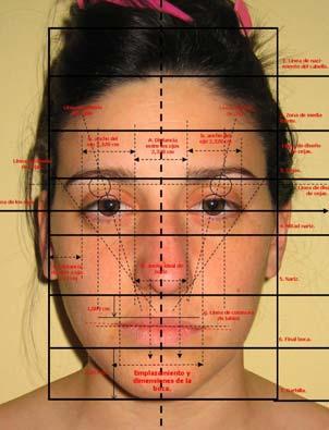 Ejercicios de visagismo. Significados de la morfología de las líneas, las formas, los volúmenes y los colores aplicado a las formas del rostro.