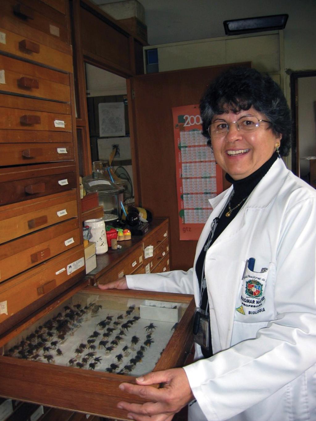 2013 Gonzalez & Engel: Nates-Parra & Colombian melittology 3 Figure 1. Professor M. Guiomar Nates-Parra in 2006 showing a collection of orchid bees in her lab (Photograph courtesy of M.L.