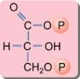 Gliceraldehído - 3-fosfato