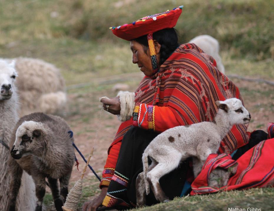 Género y Medio Ambiente: Algunas cifras del Perú 15 Fuente: 2015, CIAT, CIP, CCAFS.