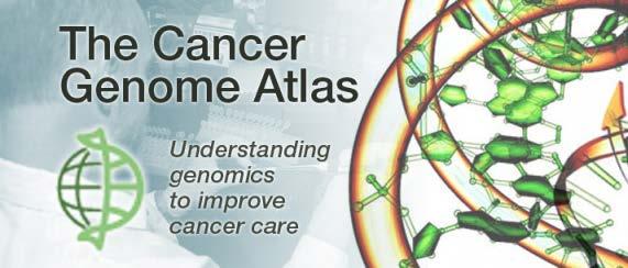 INTRODUCCION Durante la ultima decada se han producido grandes avances en el estudio molecular del cancer.