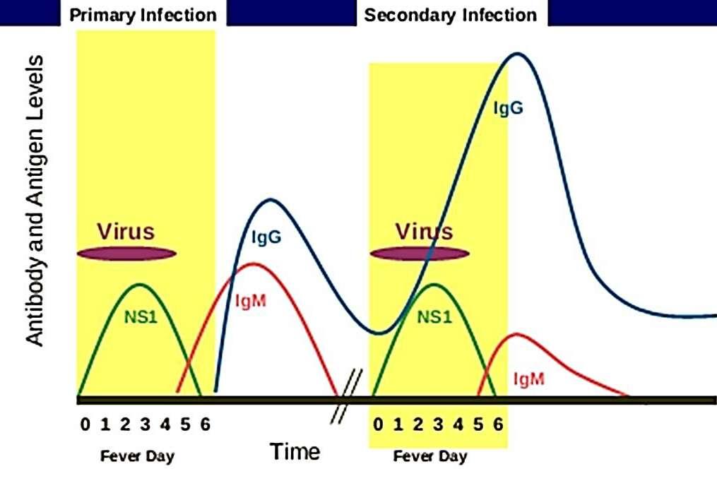 Resultados de laboratorio (aislamiento viral, detección antígeno y