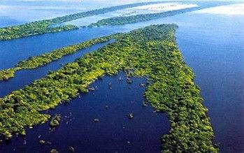 Metilmercurio 5 MUCHA preocupación en estos días en Amazonia Expuestos para Biomonitoreo Población general puede se contaminar por el consumo de pescado, especialmente las personas que viven a lo