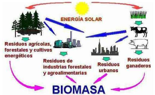 UNIDAD 3 UNIDAD 4 3.1. Biocombustibles más usados 3.1.1. Etanol 3.1.2. Biodiesel 3.2. Tecnologías de producción 3.2.1. Producción de biodiesel 3.2.2. Producción de etanol 3.3. Biocombustibles en motores de combustión Ejemplo: Definición de Energía de la Biomasa 4.