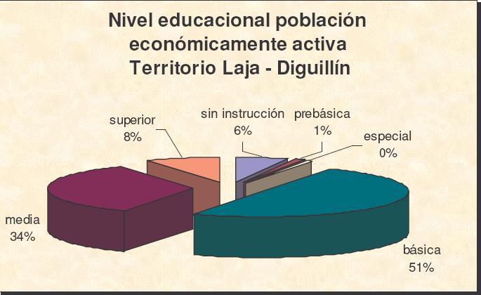 Fuente: INE, XVII Censo Nacional de