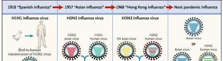 Nuevos virus de la gripe.