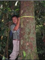 físico, químico y biológico de los ecosistemas amazónicos y cuál es la influencia de