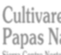 Cultivares de Papas Nativas Sierra Centro Norte del