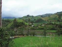 SAN PEDRO DE PIARTAL La comunidad San Pedro de Piartal se encuentra en la parroquia Piartal, cantón Montúfar.