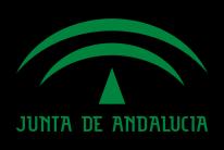 Jornada patrocinada por la Junta de Andalucía.