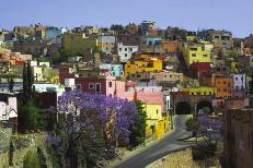 de Color Guanajuato