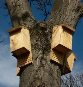 Refugios de vida silvestre Caja de murciélagos Consejos: Las maderas duras, como la de roble y de haya, son más duraderas que las maderas blandas