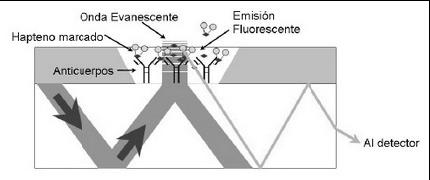 EJEMPLOS Ópticos De onda evanescente Variación en las propiedades de la