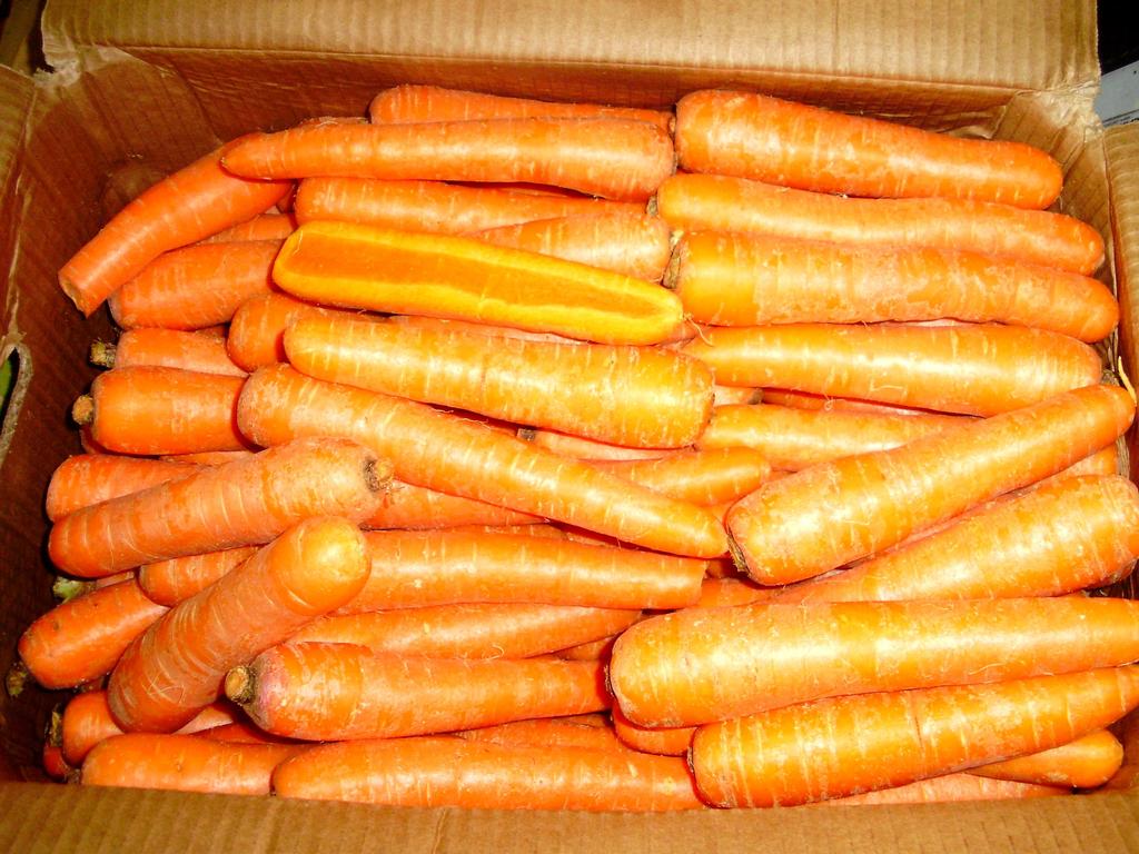 Las tres primeras provincias (Mendoza, Santa Fe y Buenos Aires) aportaron el 92 % del total de zanahoria ofertadas en el MCBA durante el año 2015.