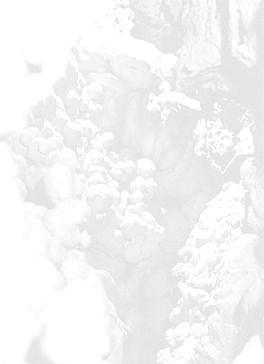 9 BIBLIOGRAFÍA Catálogo de Cavidades de la Provincia de Alicante www.cuevasalicante.com PLA SALVADOR, G. (1.955), Catálogo de Cavidades de la Provincia de Alicante, Espeleón, Año VI Nº. 1-2, Pág.