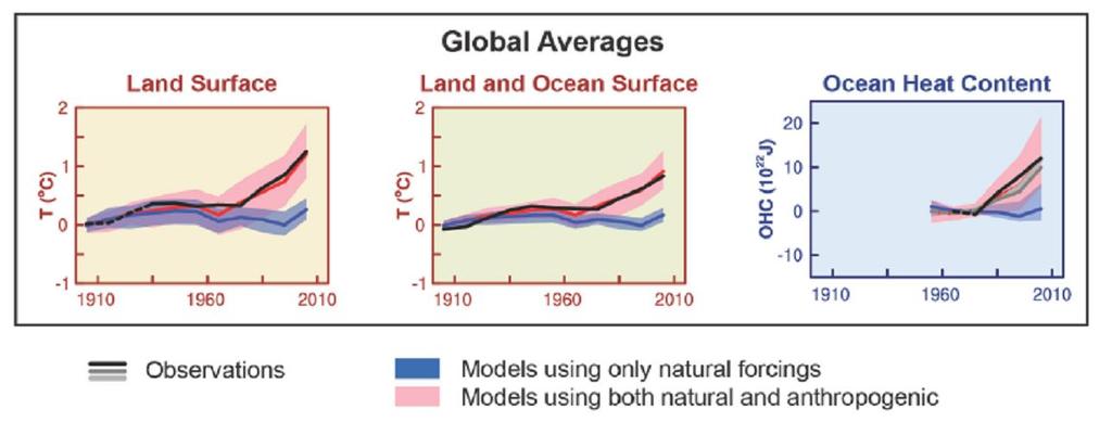 Causas del cambio climático Comparación de las temperaturas medias globales en simulaciones realizadas para el siglo XX con modelos climáticos que incluyen solo forzamientos naturales y