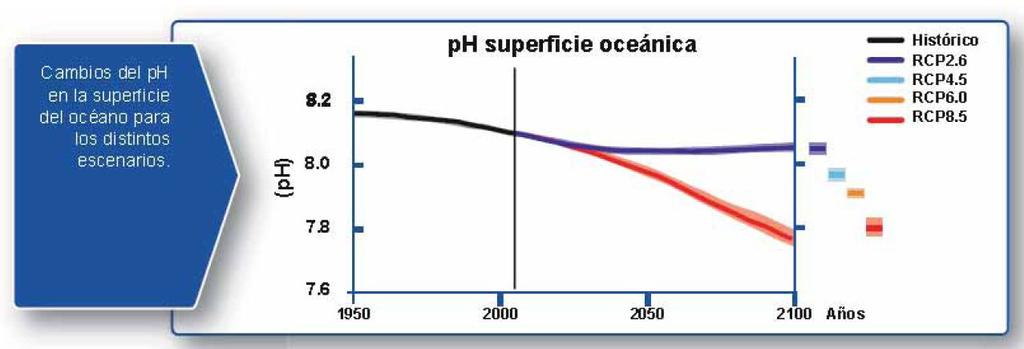 Cambios en el Carbono y otras magnitudes biogeoquímicas Parte del CO2 emitido a la atmósfera continuará siendo absorbido por el océano lo que conllevará un