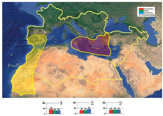 Escenarios Regionalizados Regiones climáticas: escala subcontinental Ejemplo: región mediterránea Delegación