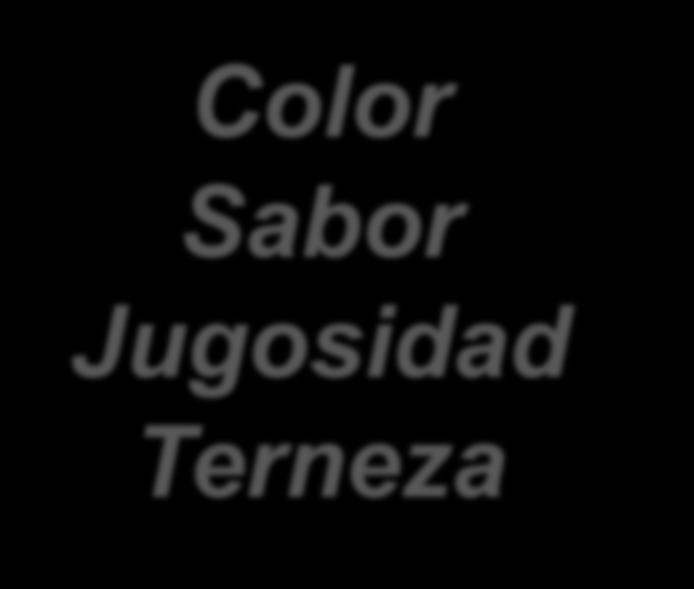 Color Sabor Jugosidad Terneza
